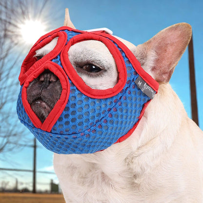 Bouledogue français blanc avec une muselière en maille respirante avec un soleil