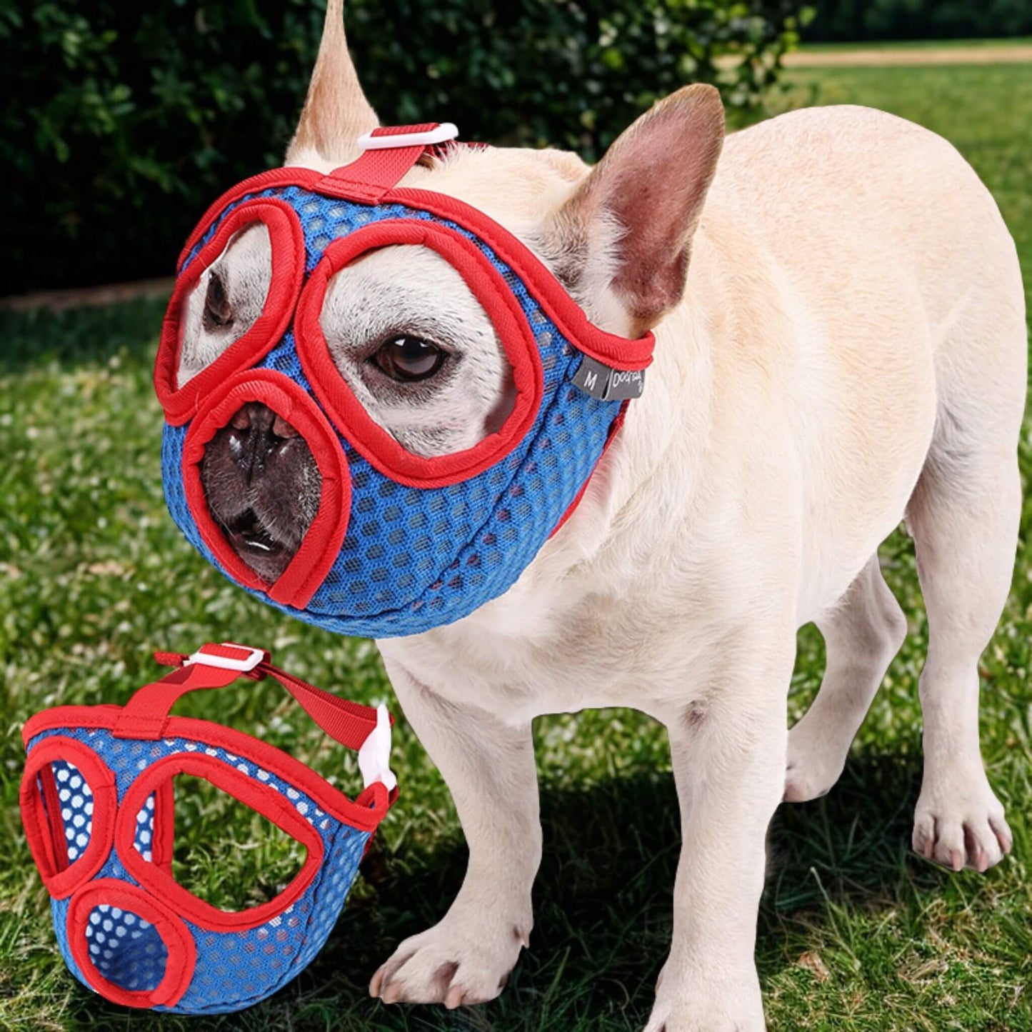 Muselière pour Bouledogue Français | MuseFrenchi™️ - Confort & Sécurité - Jolianimaux