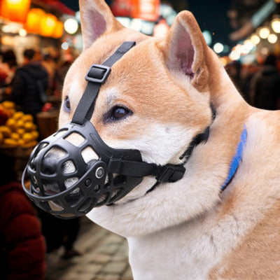 museliere pour chien akita avec museliere un marcher