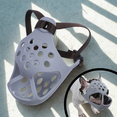 museliere pour chien grise avec bouledogue francais
