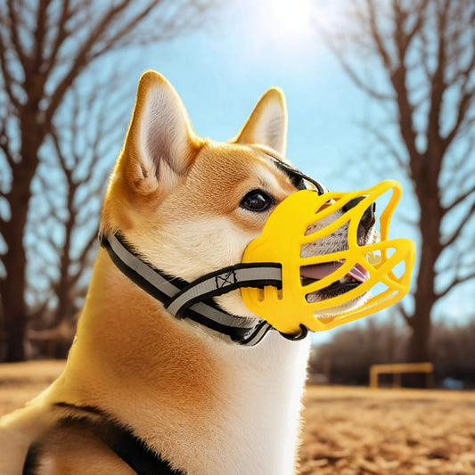 Un Nakita vu de côté avec une muselière pour chien jaune dans un parc un jour ensoleillé