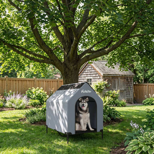 Un husky dans une niche pour chien extérieur dans l'arrière-cour sous un arbre.