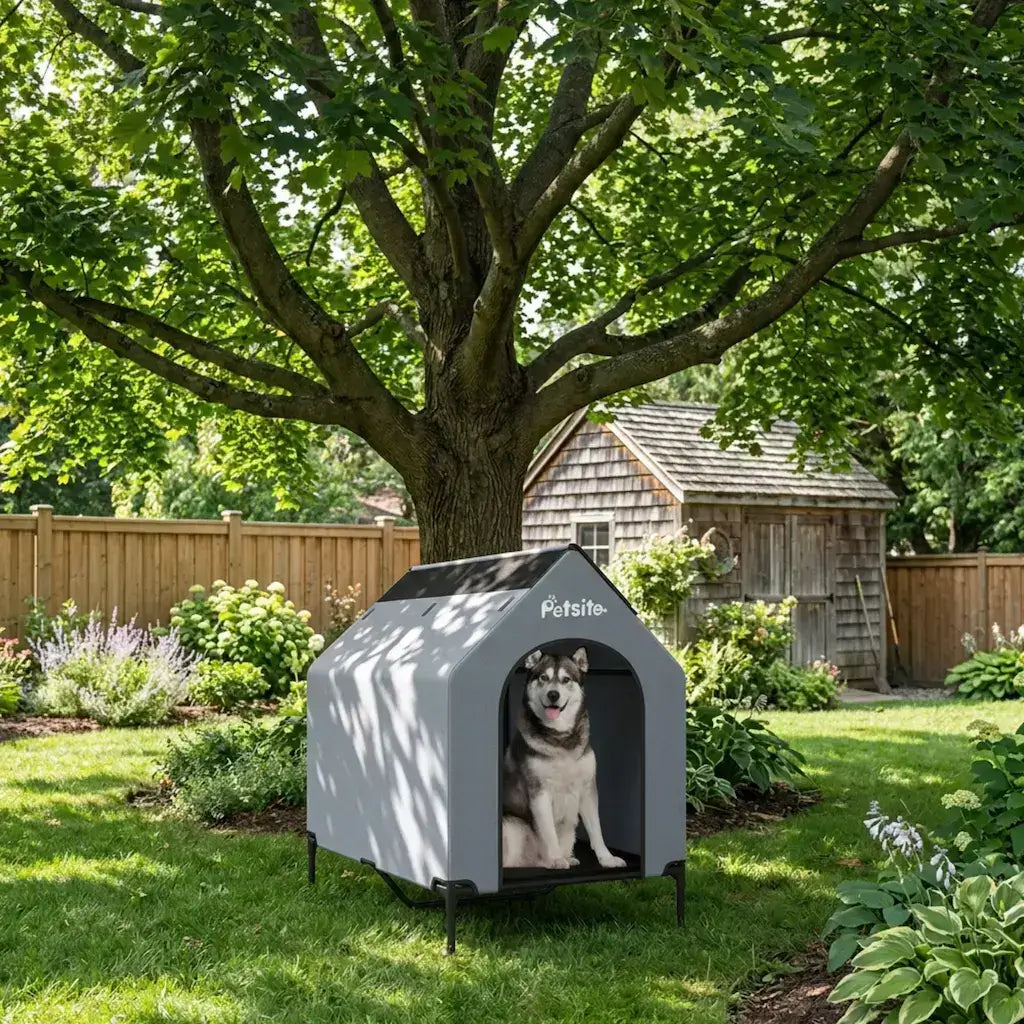 Un husky dans sa niche pour chien extérieur en dessous d'un gros arbre dans une arrière-cour.