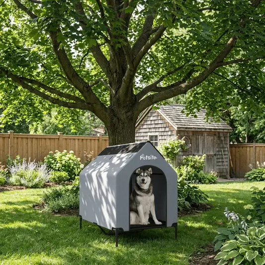Un husky dans sa niche pour chien d'extérieur sous un arbre dans l'arriere cour.