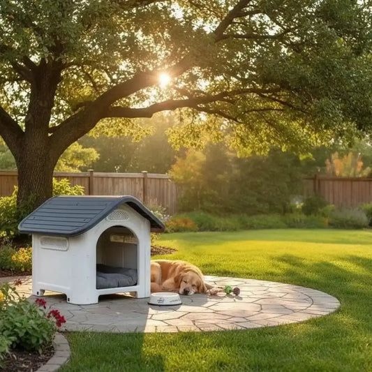 Un golden retriever dans une arrière-cour sous un arbre, allongé à côté de sa niche d'extérieur pour chien.