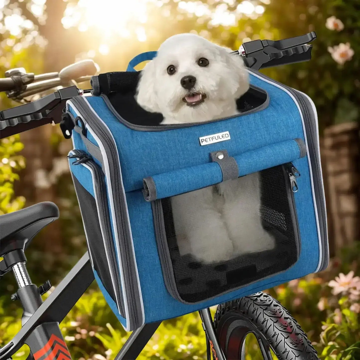 Un bichon frisé assis dans un panier pour chien de vélo bleu.