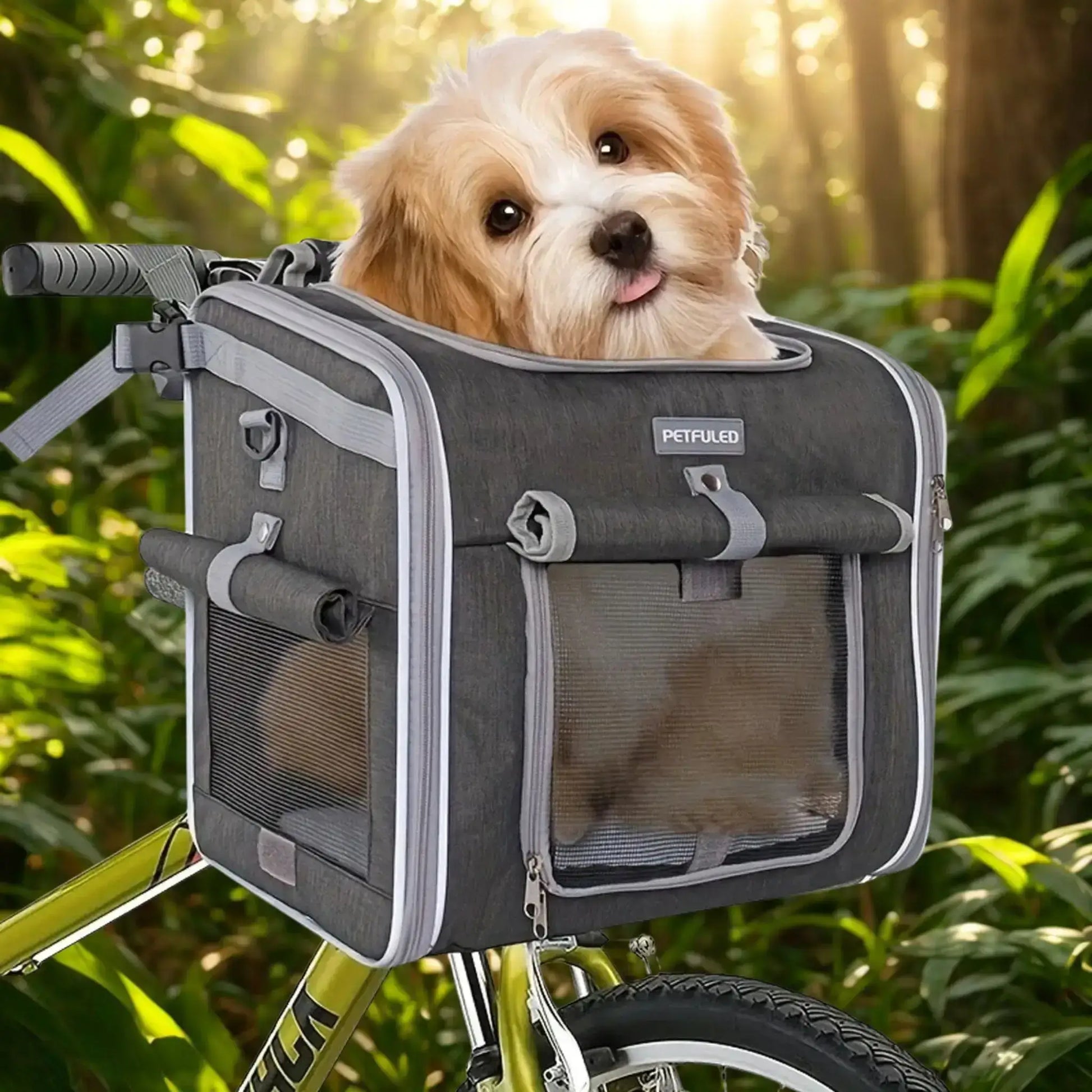 Un shih tzu assis dans un panier pour chien de vélo gris.