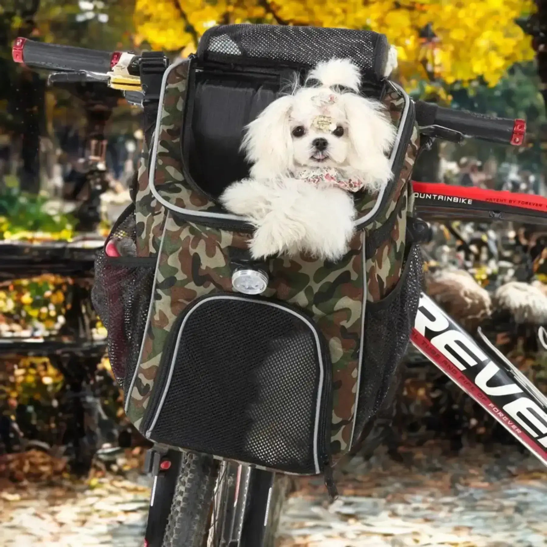 Un bichon maltais assis dans un panier pour chien de vélo vert camouflage