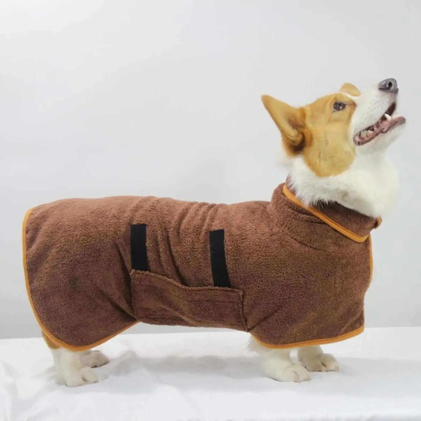Vue latérale d'un corgi vêtu d'un peignoir pour chien marron.