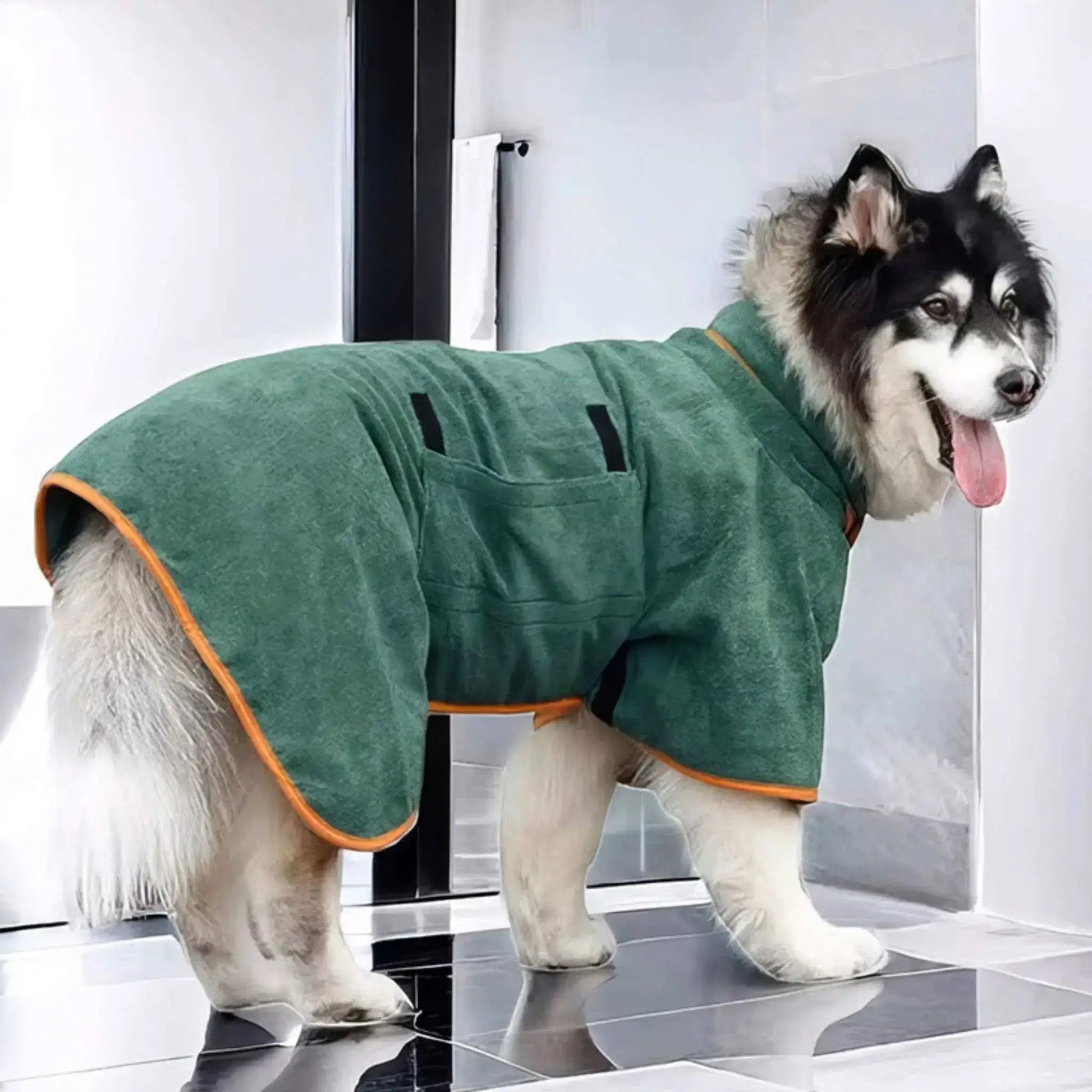 Vue latérale d'un husky dans une salle de bains vêtu d'un peignoir pour chien vert.