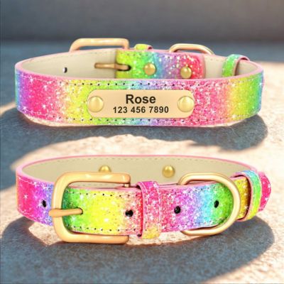 personnalisation collier chien couleur arc en ciel brillant