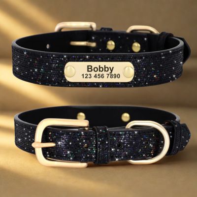 personnalisation collier chien couleur noir brillant