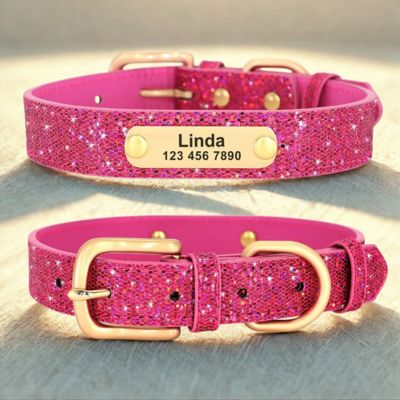 personnalisation collier chien couleur rose brillant