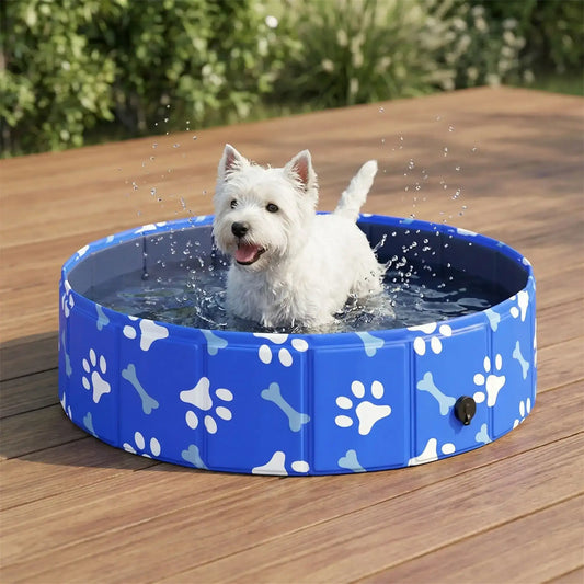 Un west highland joue dans une petite piscine pour chien bleue avec des motifs de pattes et d'os.