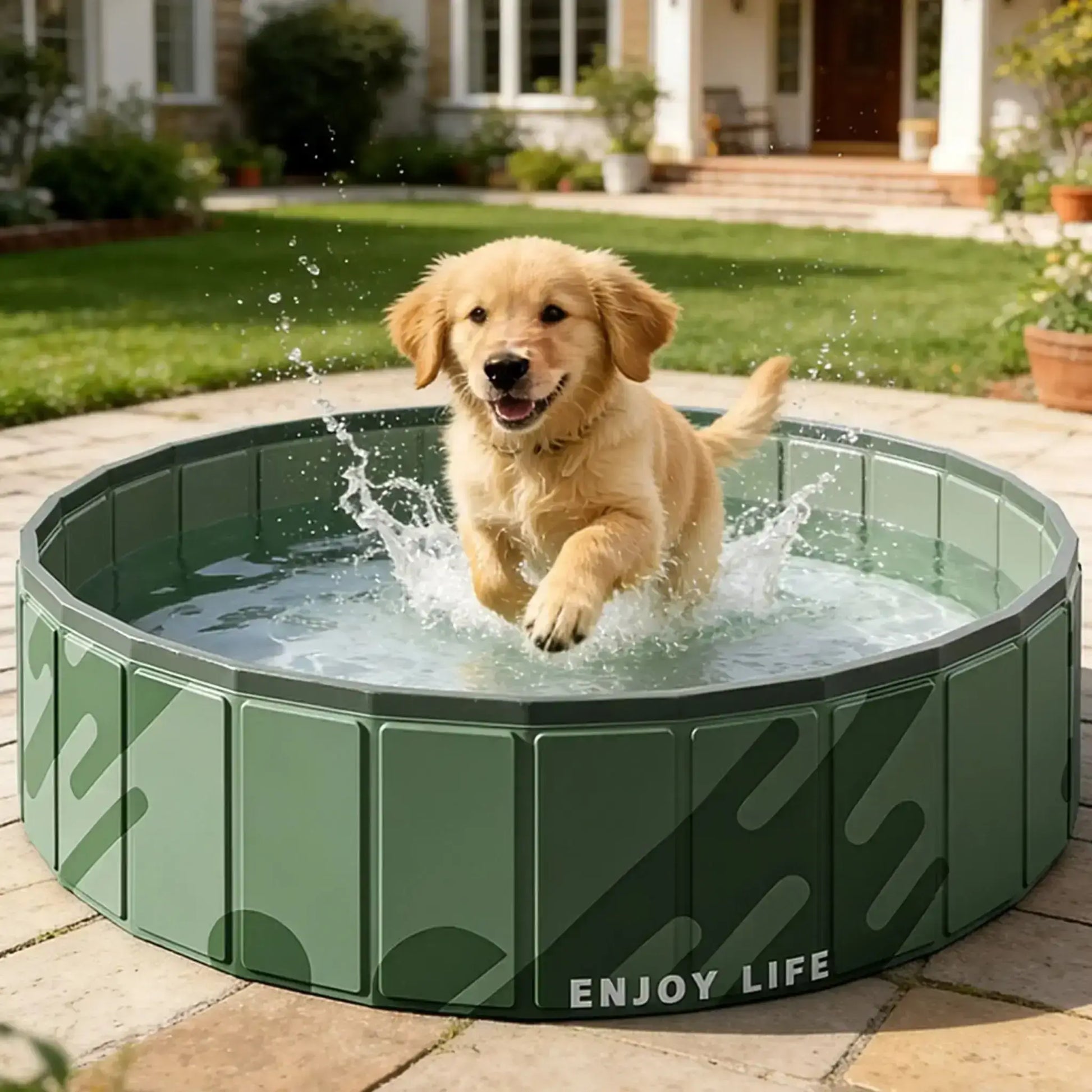 Un chiot golden retriever joue dans une piscine pour chien.