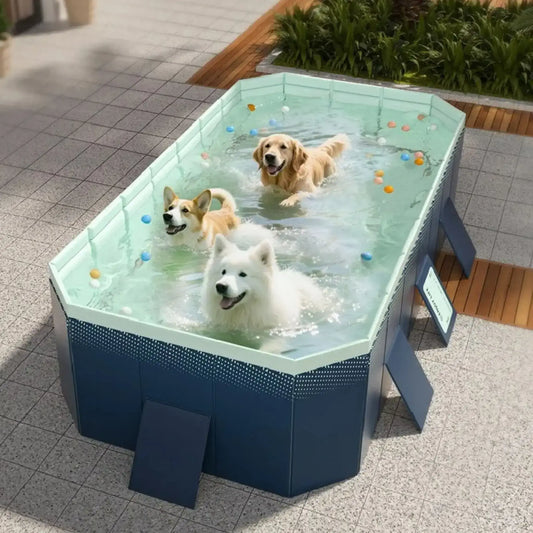 Plusieurs chiens jouent dans une piscine de très grande taille dans l'arrière-cour.