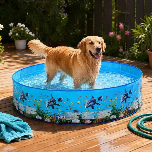 Un golden retriever dans une piscine pour chien XXL sur un patio.