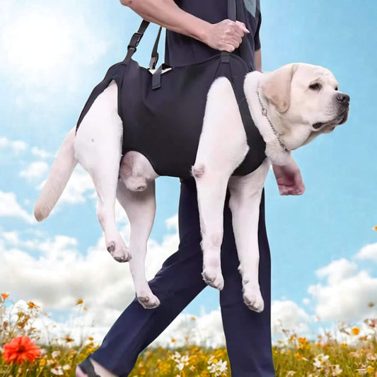 porte chien-chienvoyageur-labrador blanc-sac epaule