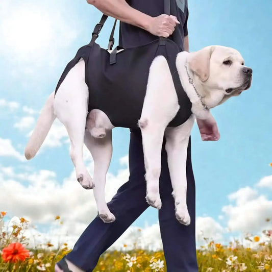 Un homme porte à l'épaule le porte-chien avec un labrador.
