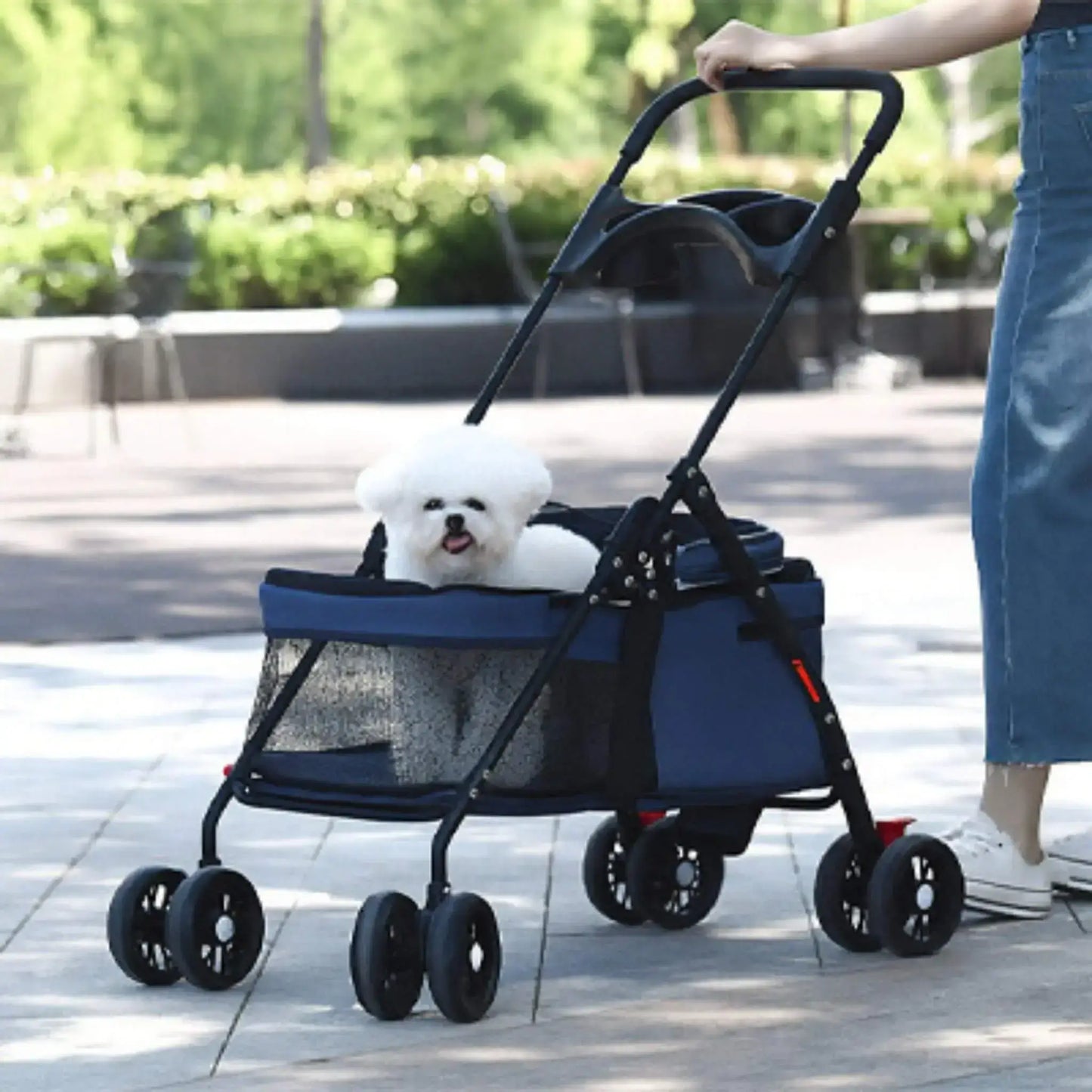 Un bichon frisé dans une poussette pour chien bleue ouverte sur un trottoir.