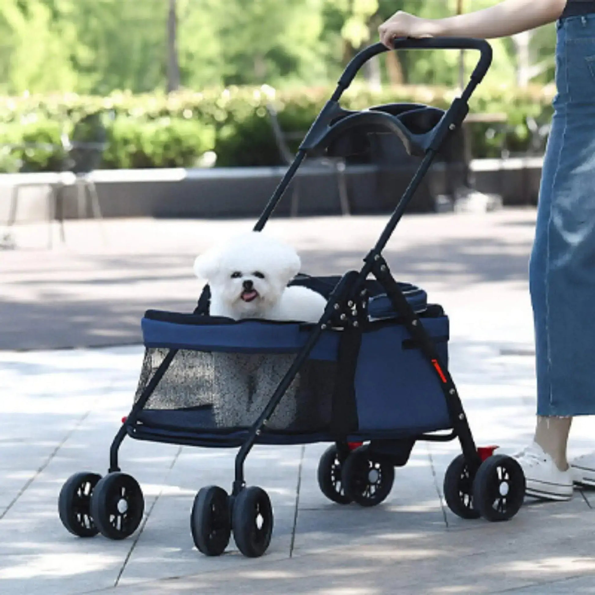 Un bichon frisé dans une poussette pour chien bleue ouverte sur un trottoir.