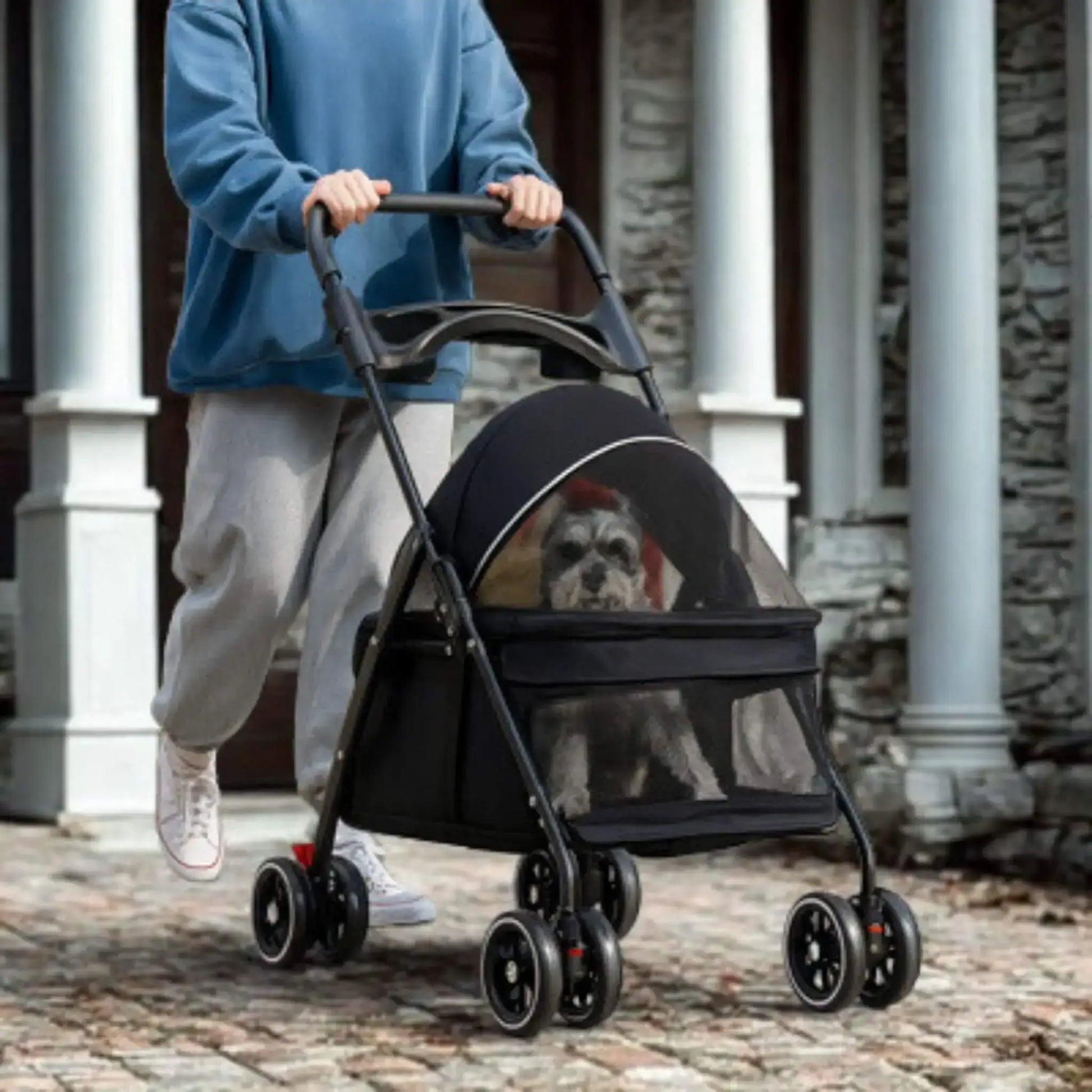 Une femme pousse une poussette avec son schnauzer à l'intérieur.