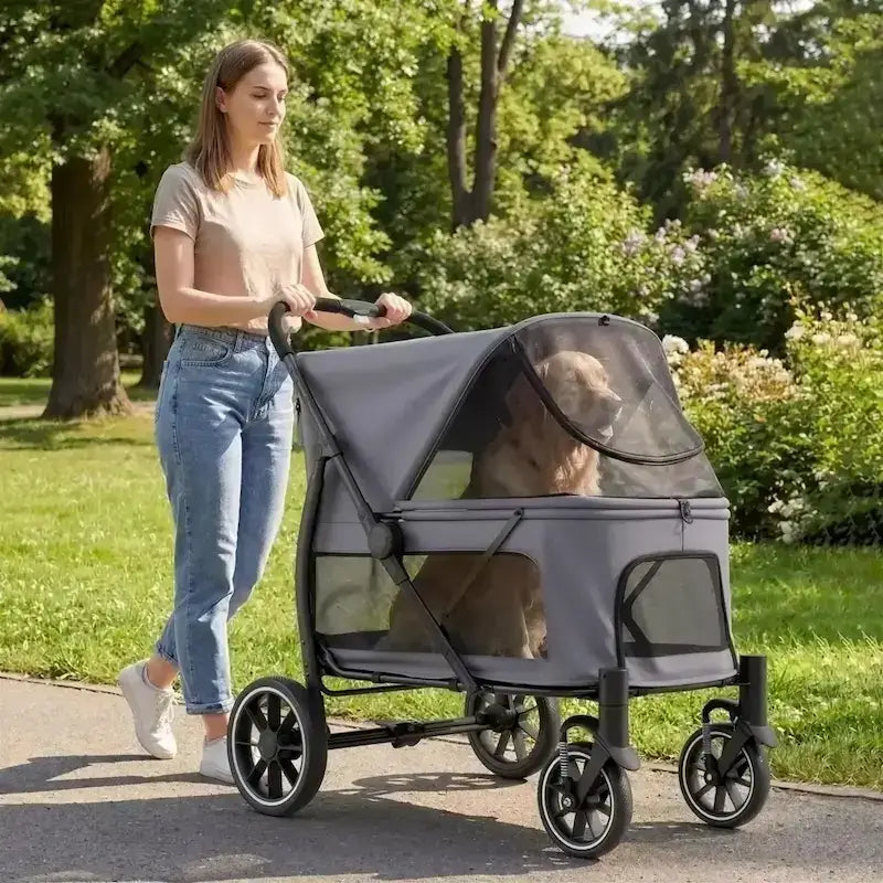 Une femme se promène dans un parc avec son golden retriever dans une poussette grise.