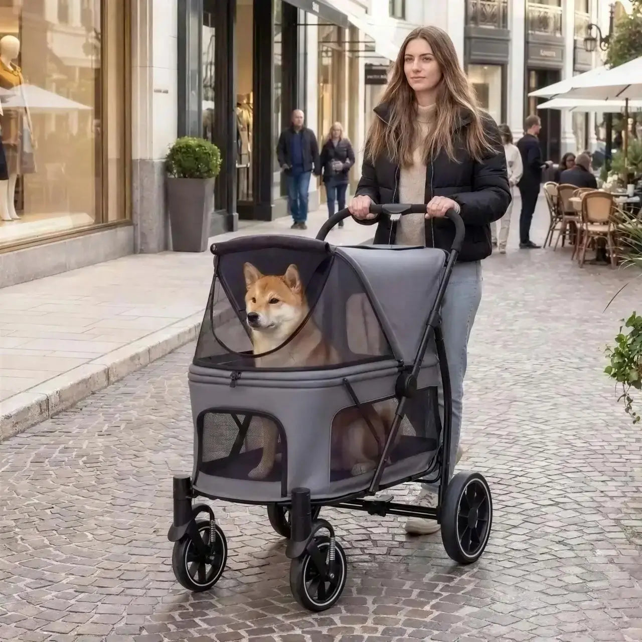 Une femme sur un trottoir en ville se promène avec son shiba inu dans la poussette pour gros chien.