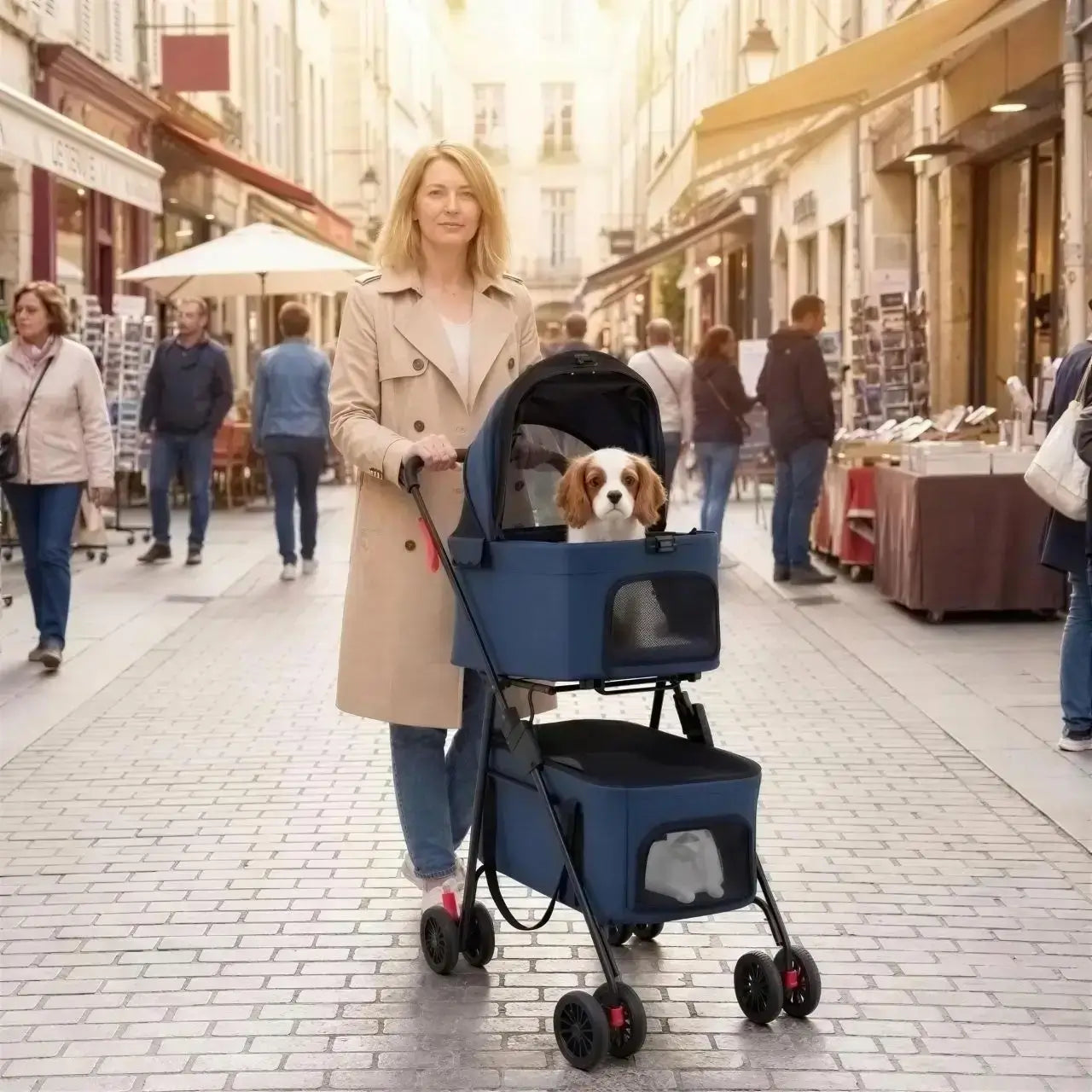 Une femme dans une rue de magasins marche avec son Cavalier King Charles dans la poussette pour petit chien.