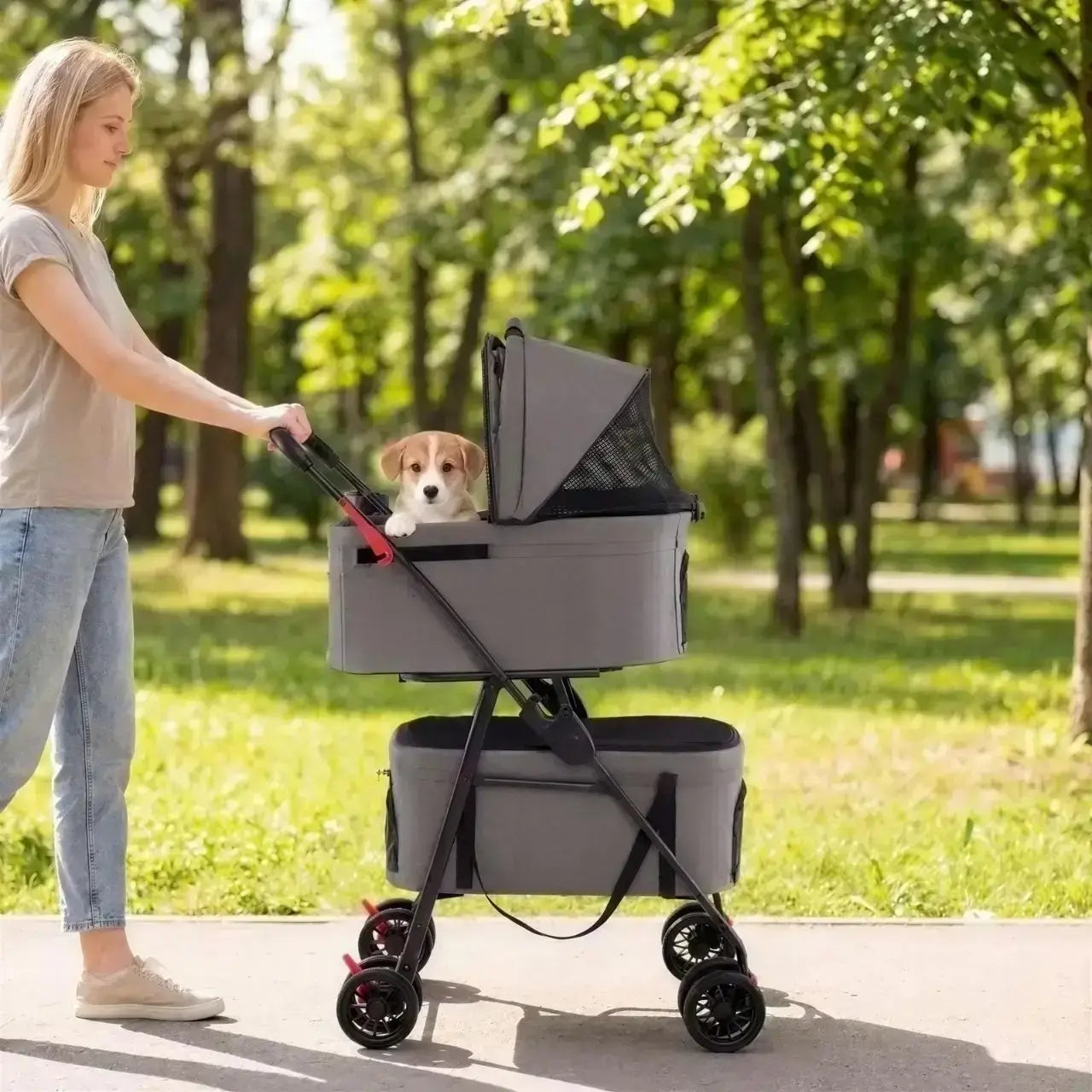Une femme marche sur un trottoir avec son chiot dans la poussette pour petit chien gris.