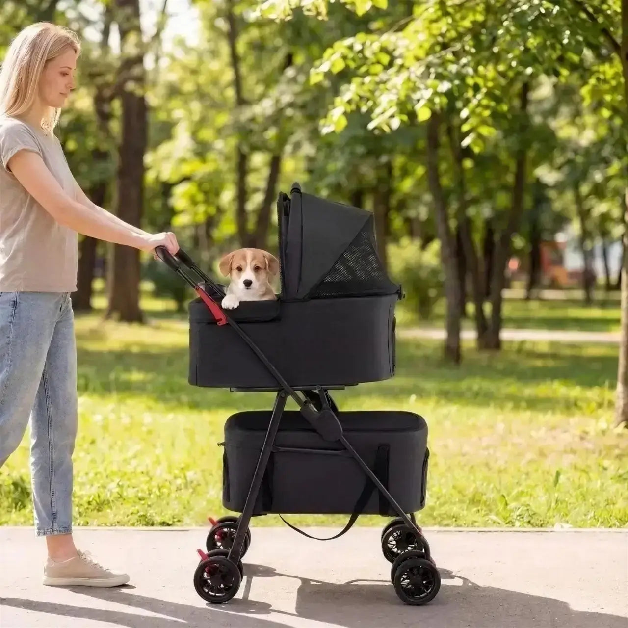 Une femme marche sur un trottoir dans un parc avec son chiot dans la poussette pour petit chien noir.