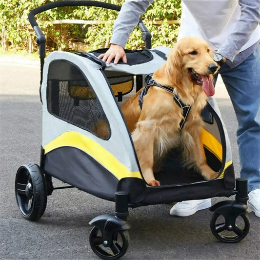 Un golden retriever dans une poussette à quatre roues de grand format avec son maitre.  