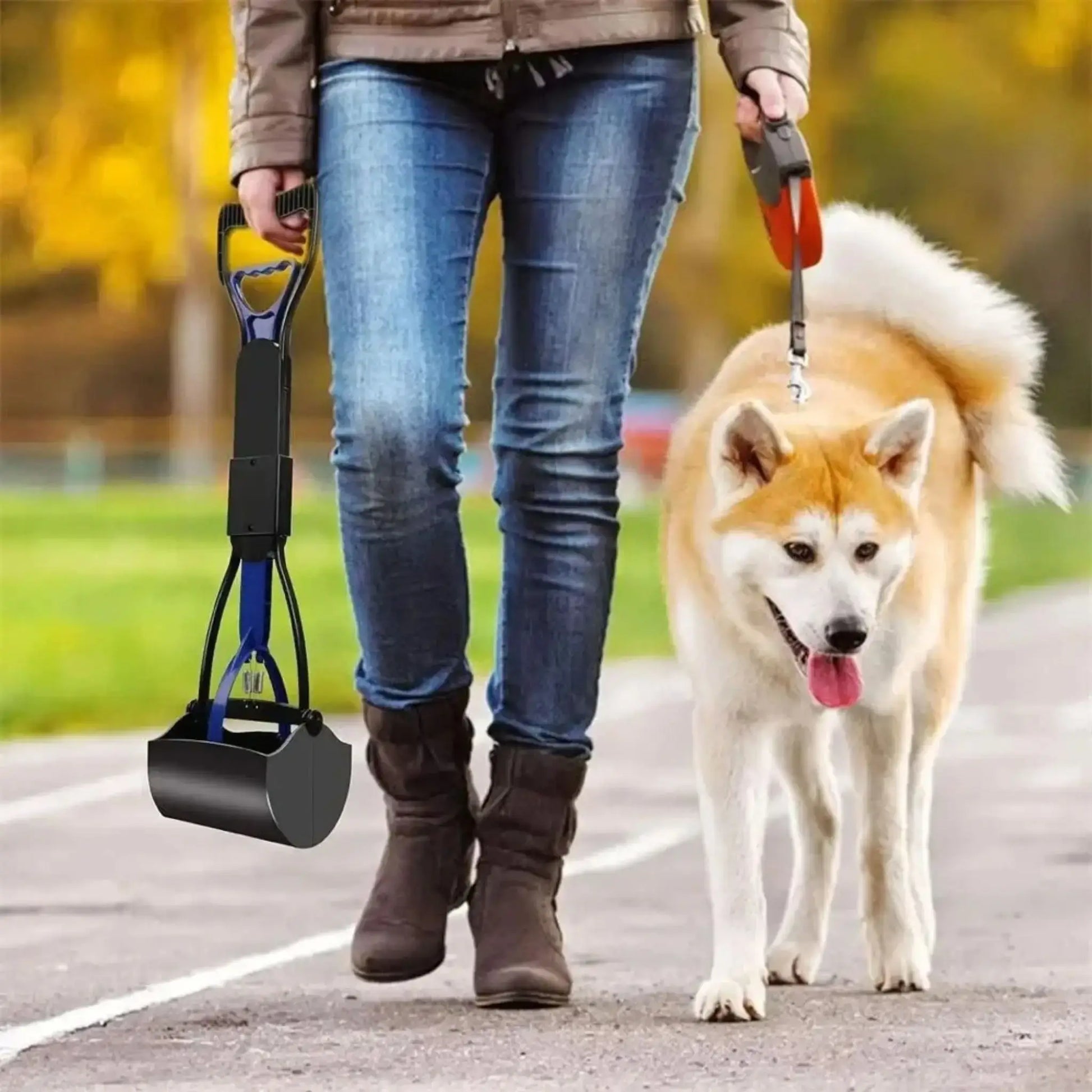 Une femme marche avec son akita et un ramasse-crotte noir à la main.