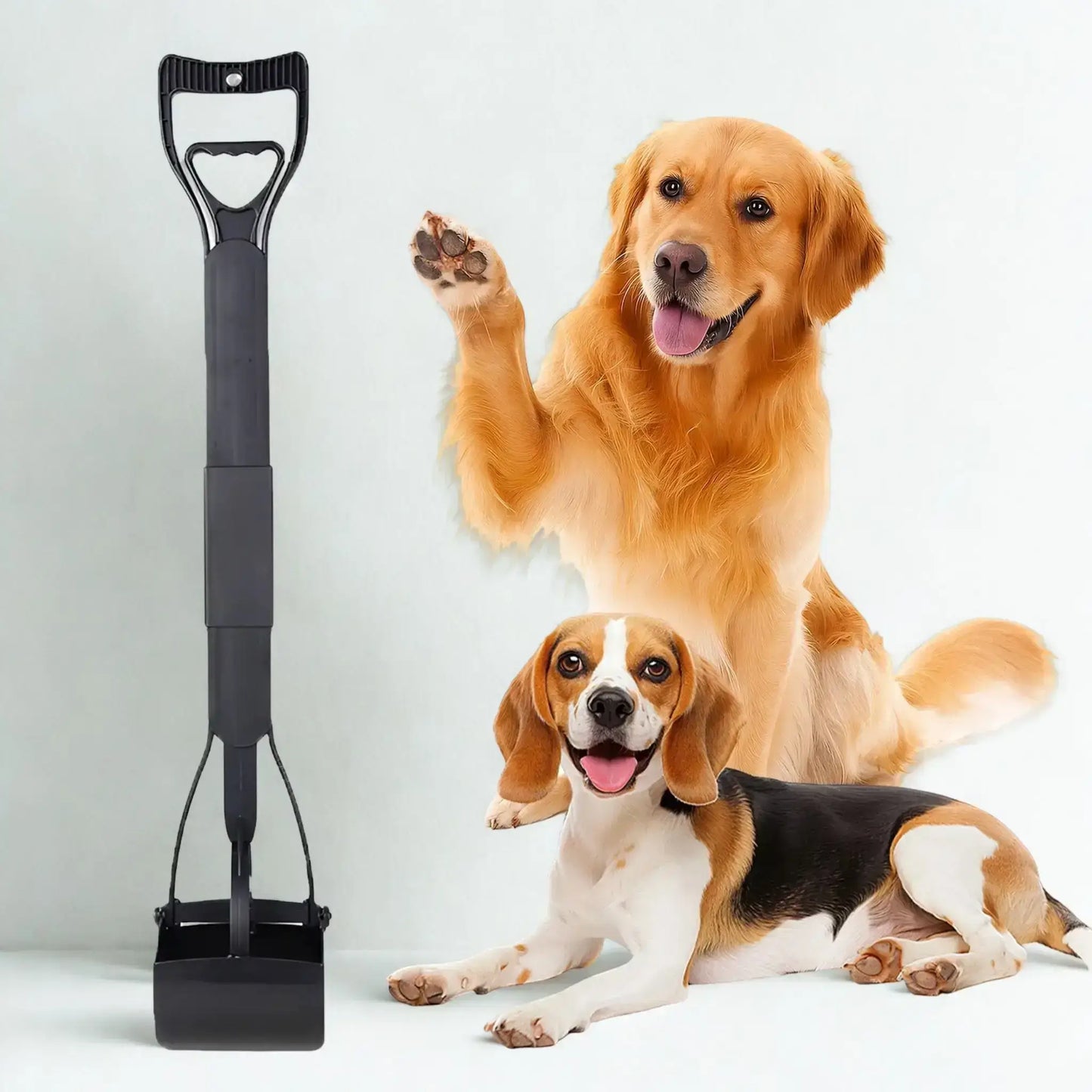 Un golden retriever avec un beagle et un ramasse-crotte noir.