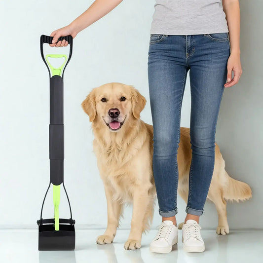 Une femme avec son golden retriever et un ramasse-crotte vert à la main.
