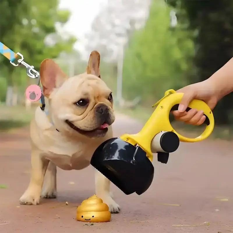 Un bouledogue français regarde son maître ramasser sa crotte avec le ramasse-crotte pour chien noir.