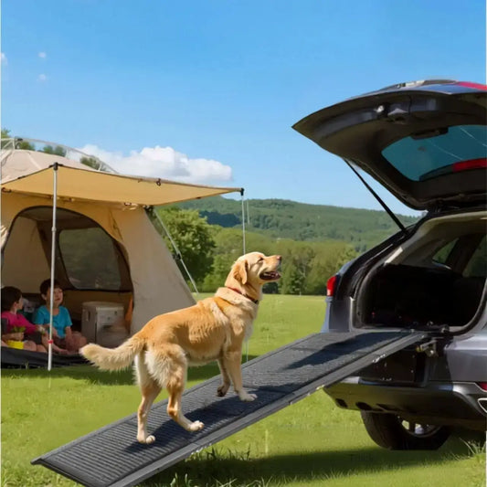 Un golden retriever qui monte la rampe pour chien de voiture sur un terrain de camping.