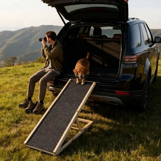 Un teckel descend d'un SUV par la rampe pour chien avec son maître à ses côtés.