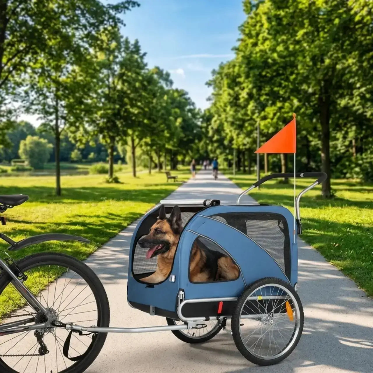 Un berger allemand dans une remorque pour chien de vélo bleu sur une piste cyclable dans un parc.