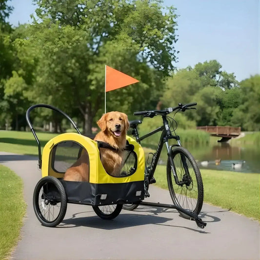 Un golden retriever dans la remorque pour chien de vélo sur une piste cyclable près de l'eau.