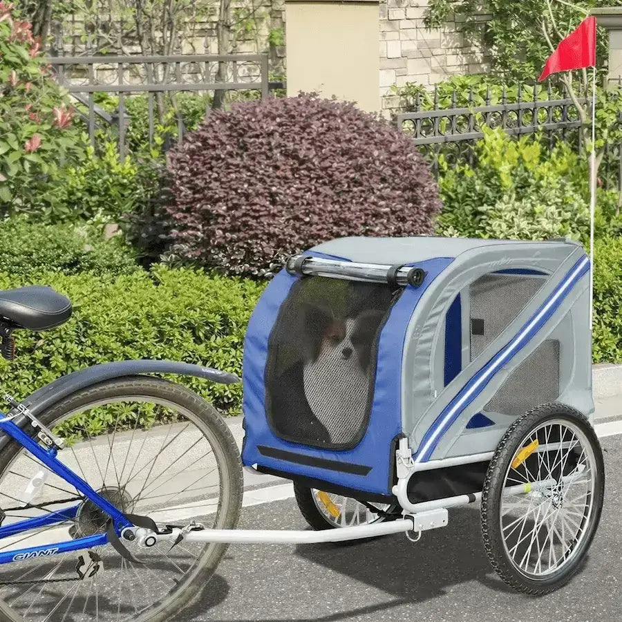 Un chihuahua papillon assis dans une remorque à vélo pour chiens bleue.