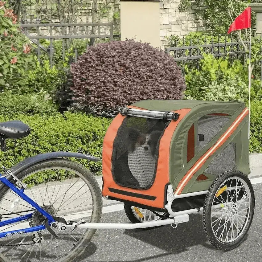 Un chihuahua papillon assis dans une remorque à vélo pour chiens orange.