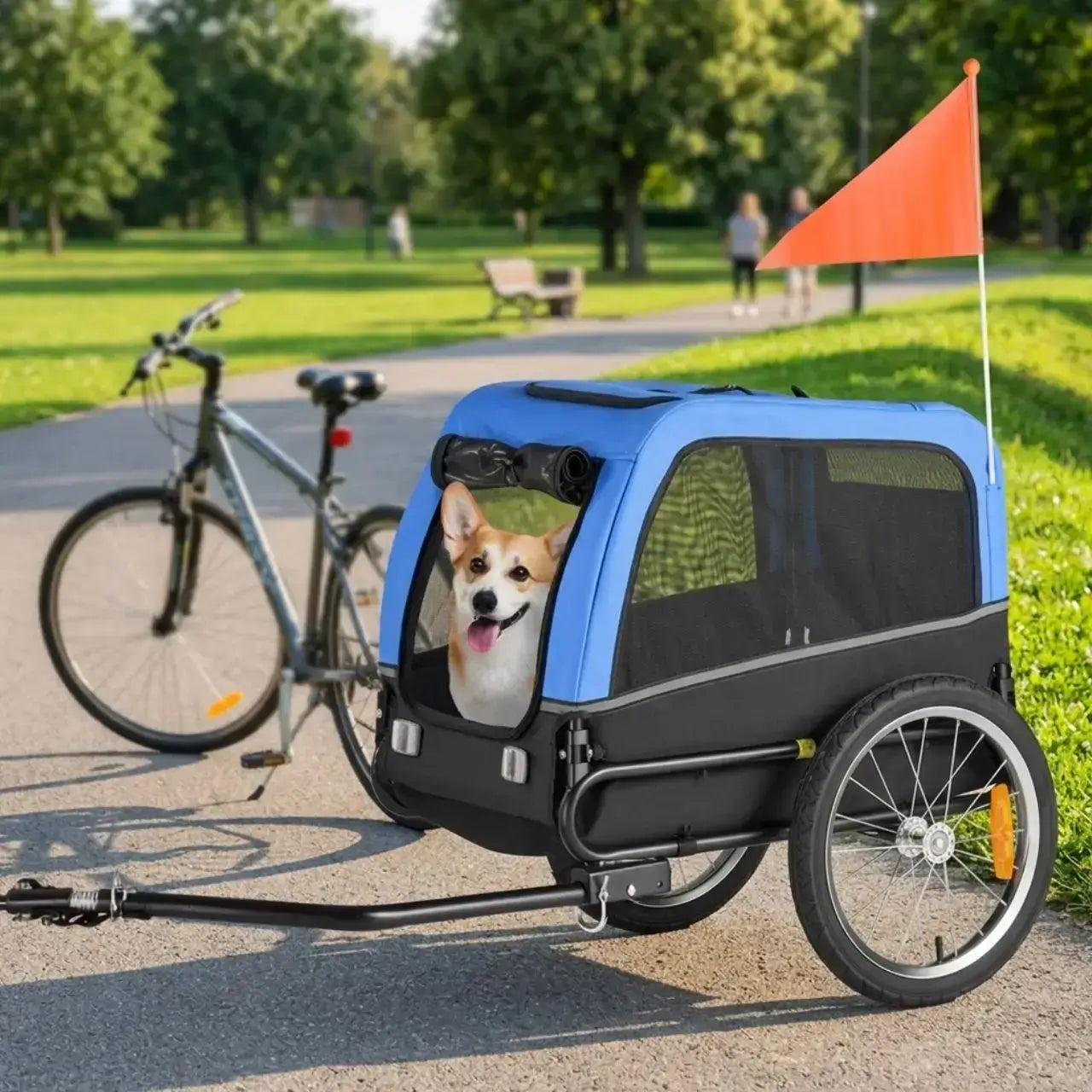 Un corgi dans une remorque de vélo pour chien bleu sur une piste cyclable