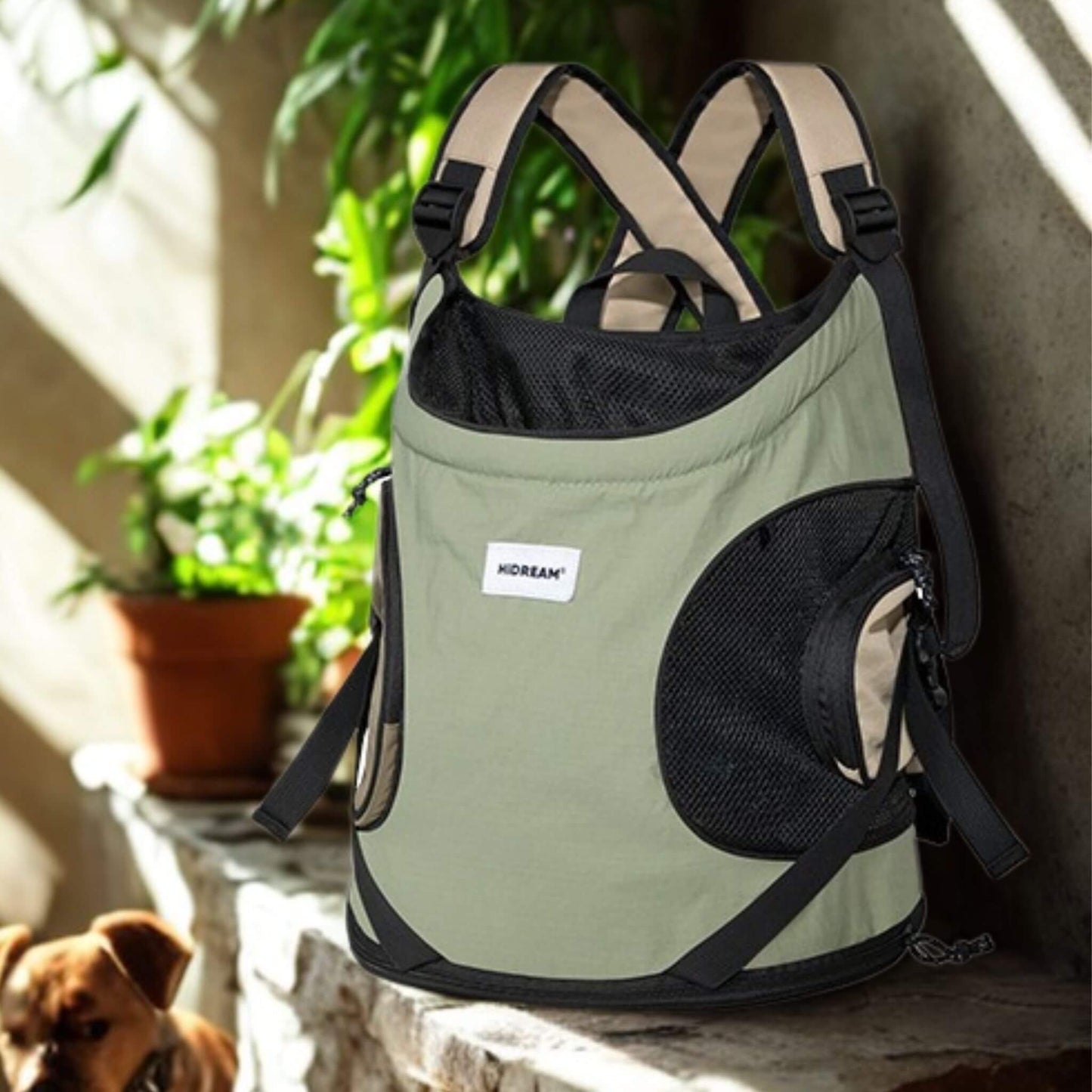 Un sac à dos pour chien vert avec maille respirante et bretelle large 