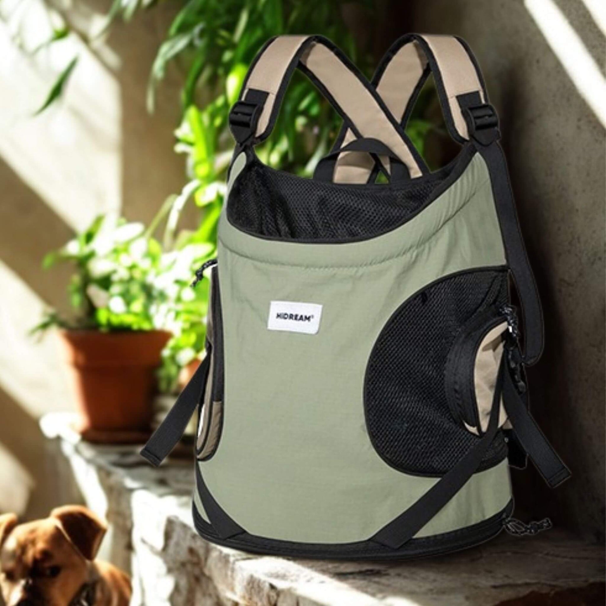 Un sac à dos pour chien vert avec maille respirante et bretelle large 