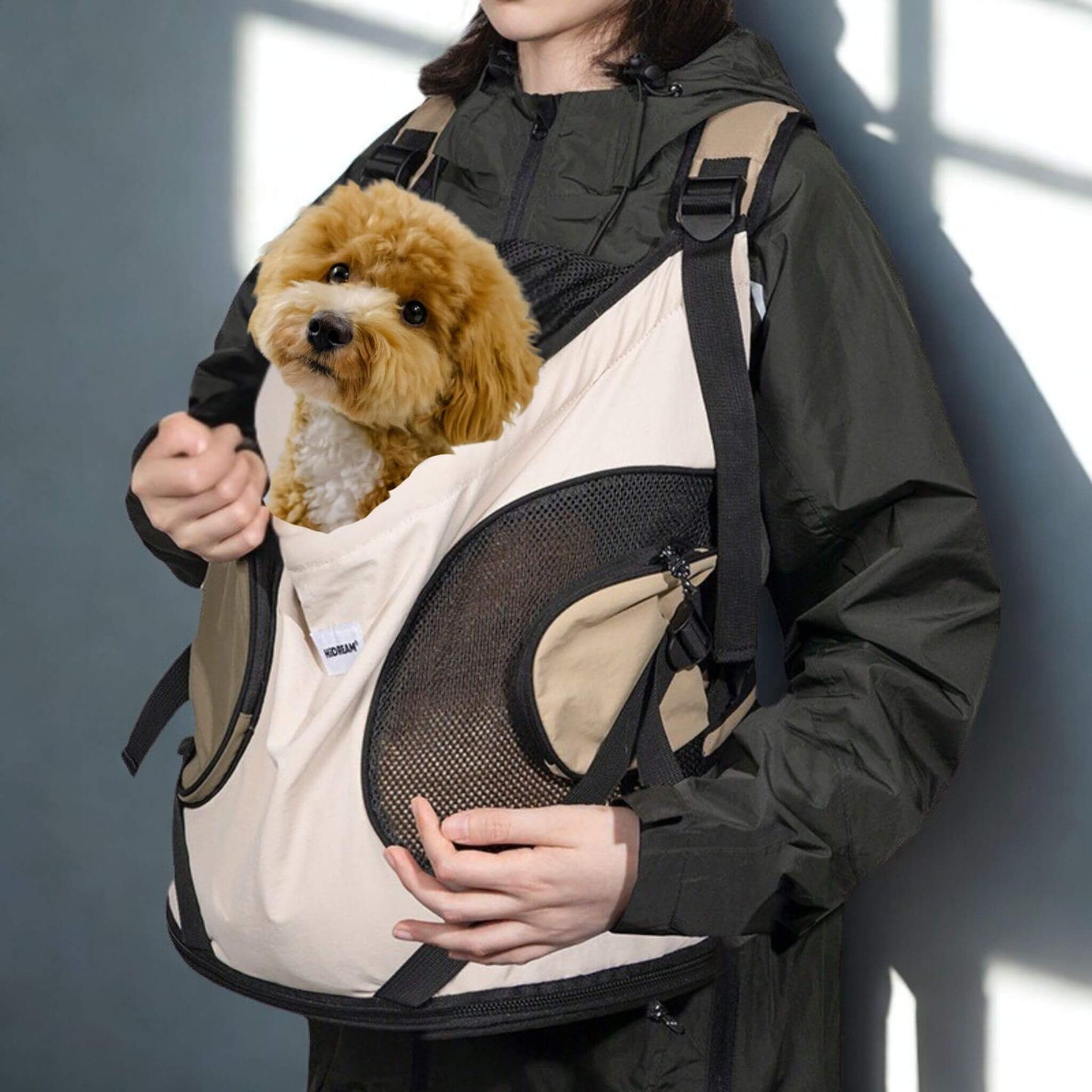 Une femme portant son sac à dos devant elle, accompagnée d'un caniche brun.