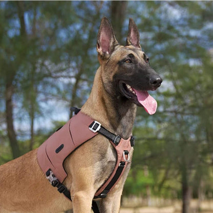 Un malinois à l'extérieur porte son sac Aàdos chien avec harnais intégré de couleur brun