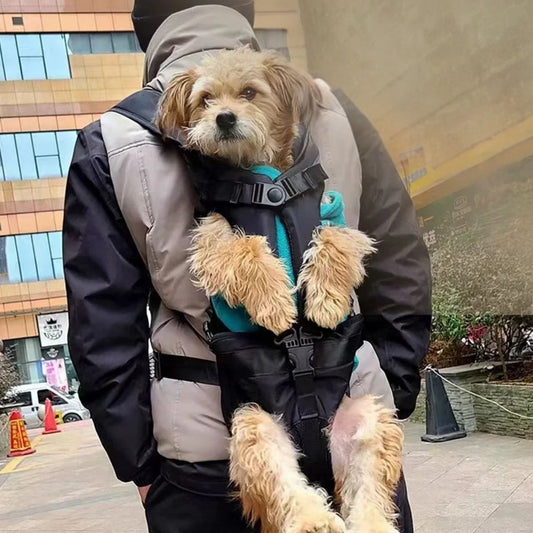 sac a dos chien doggo-homme marche-ville-caniche dos
