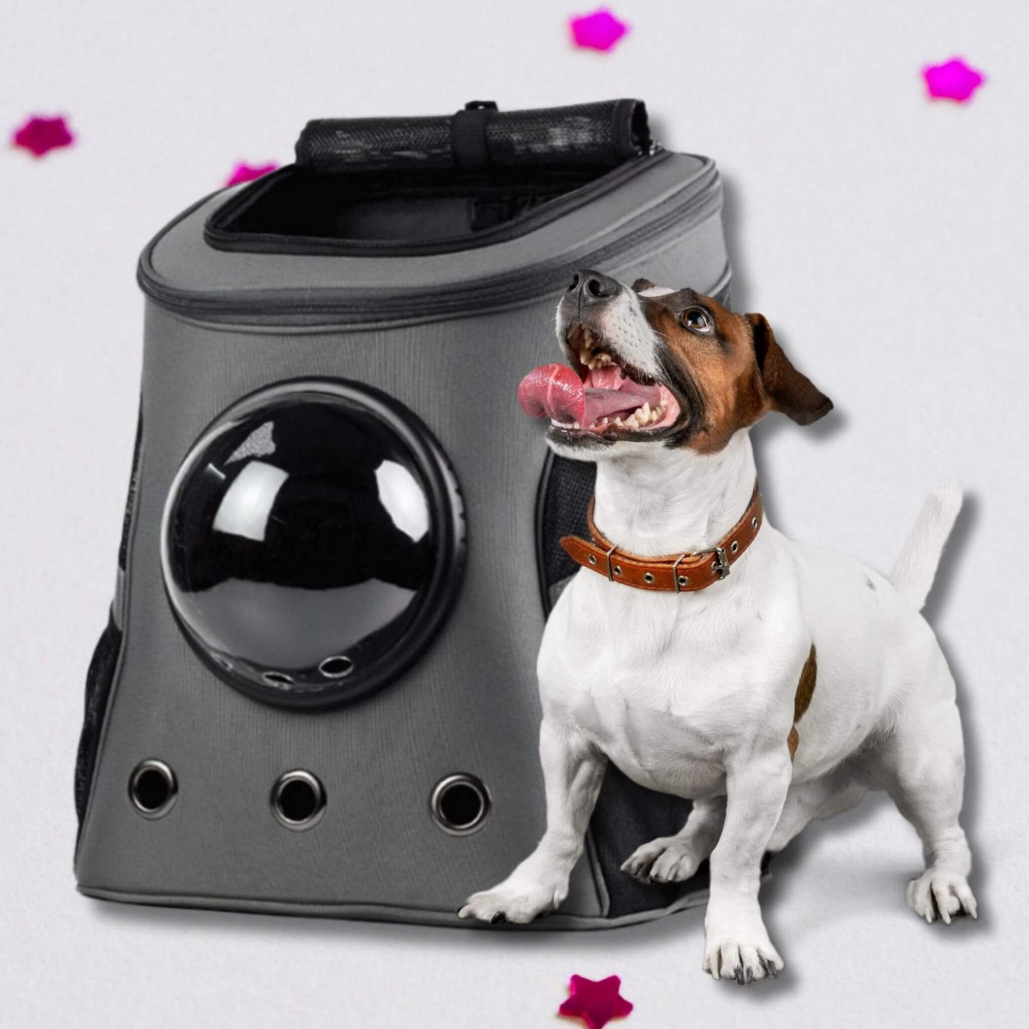 Un sac à dos chien de couleur grise avec un Jack Russell