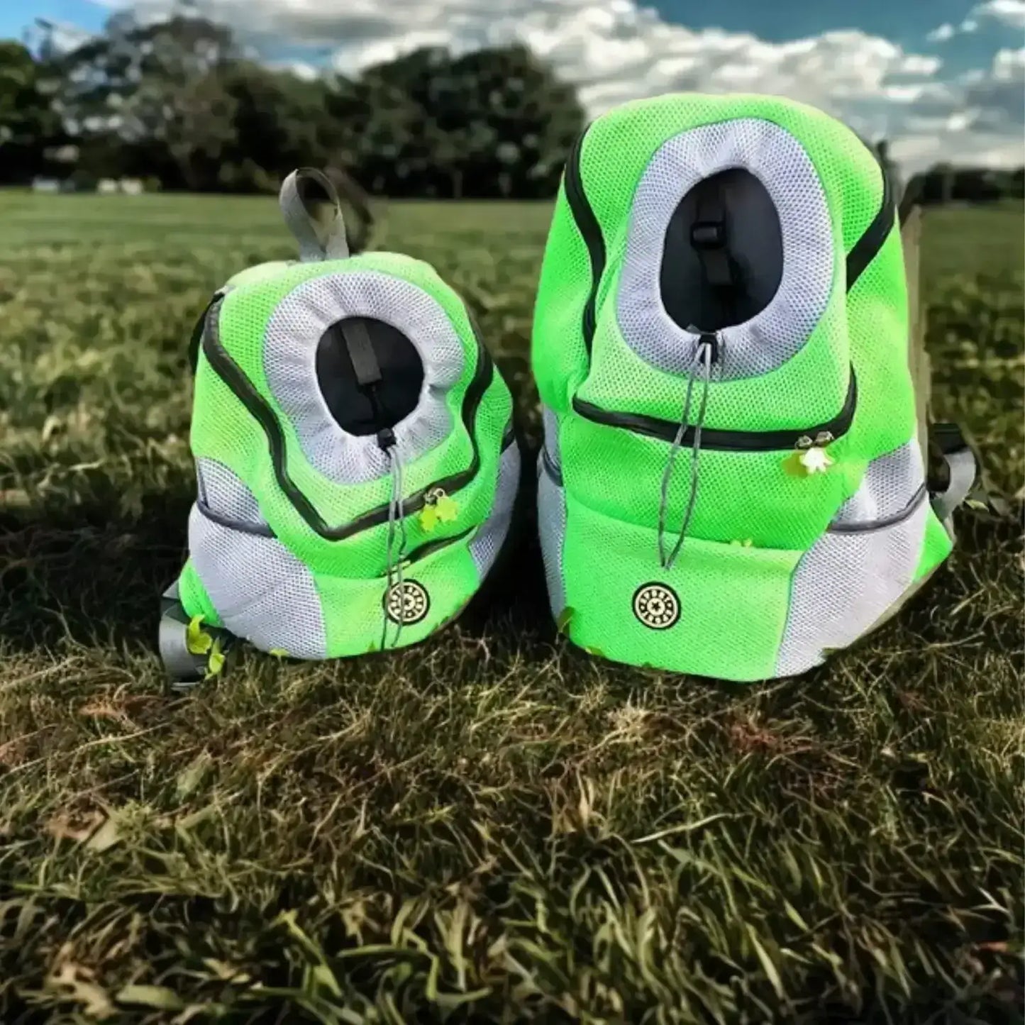 Un sac à dos pour chien de couleur verte sur une pelouse.
